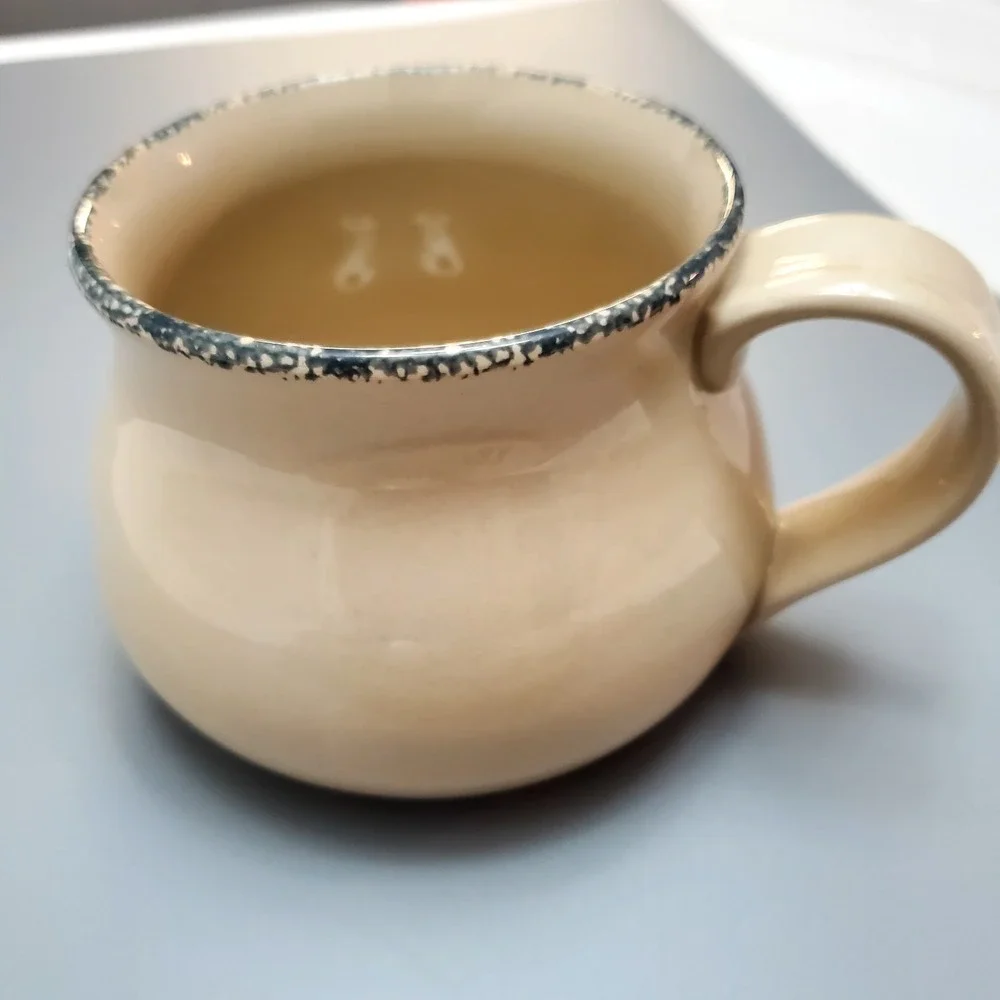 New!!! Home‎ & Garden Party Soup Mug and Sandwich Plate ♡  Birdhouse 2005